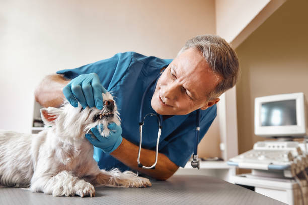 Best Emergency Treatment for Oral Infections in Grayson, CA